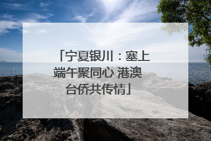 宁夏银川：塞上端午聚同心 港澳台侨共传情