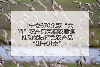宁夏670余款“六特”农产品亮相农展馆 推动优质特色农产品“出宁进京”