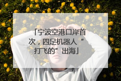 宁波空港口岸首次，四足机器人“打飞的”出海