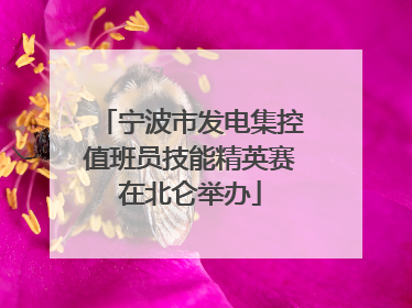 宁波市发电集控值班员技能精英赛在北仑举办