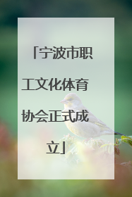 宁波市职工文化体育协会正式成立