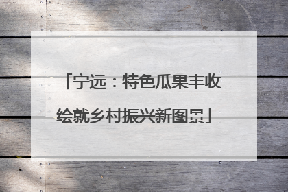 宁远：特色瓜果丰收绘就乡村振兴新图景