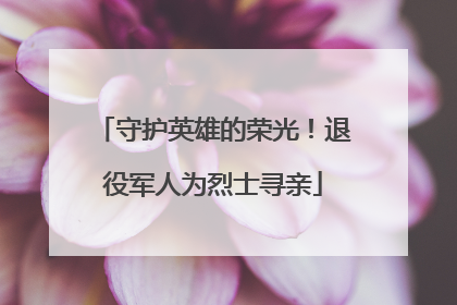 守护英雄的荣光！退役军人为烈士寻亲