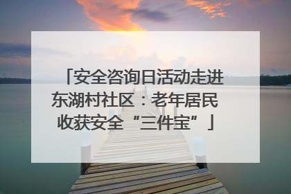 安全咨询日活动走进东湖村社区：老年居民收获安全“三件宝”