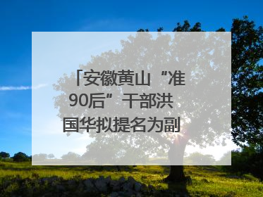 安徽黄山“准90后”干部洪国华拟提名为副区县长人选