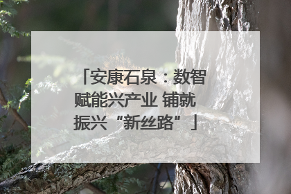 安康石泉：数智赋能兴产业 铺就振兴“新丝路”