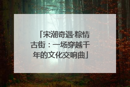 宋潮奇遇·粽情古街：一场穿越千年的文化交响曲