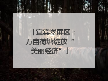 宜宾翠屏区：万亩荷塘绽放“美丽经济”