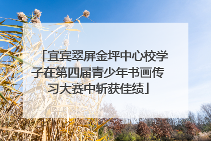 宜宾翠屏金坪中心校学子在第四届青少年书画传习大赛中斩获佳绩
