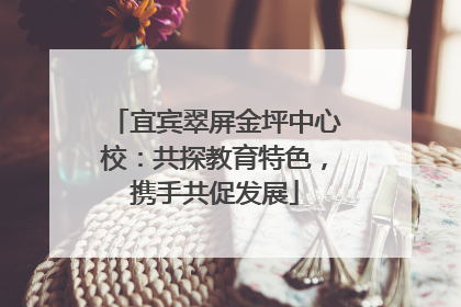 宜宾翠屏金坪中心校：共探教育特色，携手共促发展