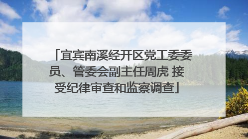 宜宾南溪经开区党工委委员、管委会副主任周虎 接受纪律审查和监察调查