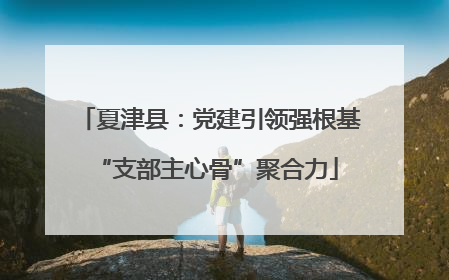 夏津县：党建引领强根基 “支部主心骨”聚合力