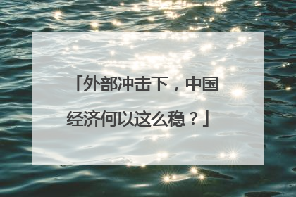 外部冲击下，中国经济何以这么稳？