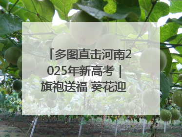 多图直击河南2025年新高考｜旗袍送福 葵花迎胜——许昌高考首日拉开帷幕