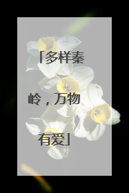 多样秦岭，万物有爱