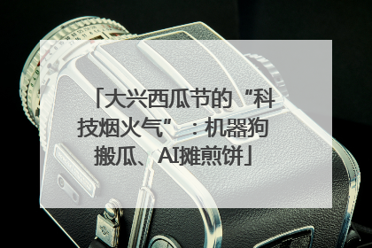 大兴西瓜节的“科技烟火气”：机器狗搬瓜、AI摊煎饼