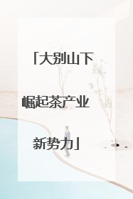大别山下崛起茶产业新势力
