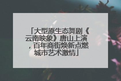 大型原生态舞剧《云南映象》唐山上演，百年商街焕新点燃城市艺术激情