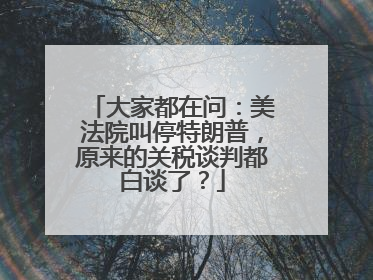大家都在问：美法院叫停特朗普，原来的关税谈判都白谈了？