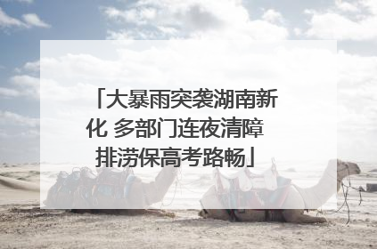 大暴雨突袭湖南新化 多部门连夜清障排涝保高考路畅