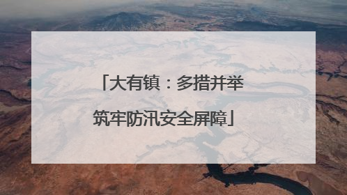 大有镇：多措并举筑牢防汛安全屏障