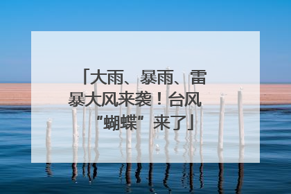 大雨、暴雨、雷暴大风来袭！台风“蝴蝶”来了
