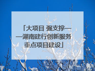 大项目 强支撑——湖南建行创新服务重点项目建设