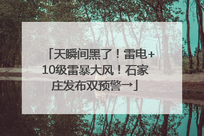 天瞬间黑了！雷电+10级雷暴大风！石家庄发布双预警→