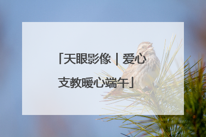 天眼影像｜爱心支教暖心端午
