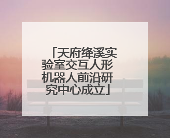 天府绛溪实验室交互人形机器人前沿研究中心成立