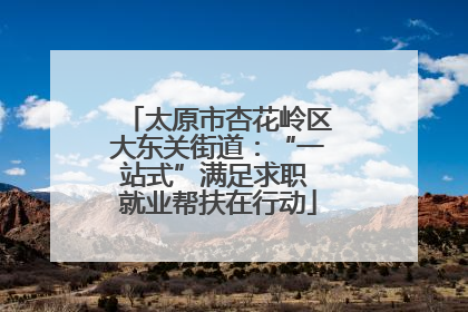 太原市杏花岭区大东关街道：“一站式”满足求职 就业帮扶在行动