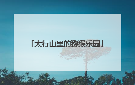 太行山里的猕猴乐园