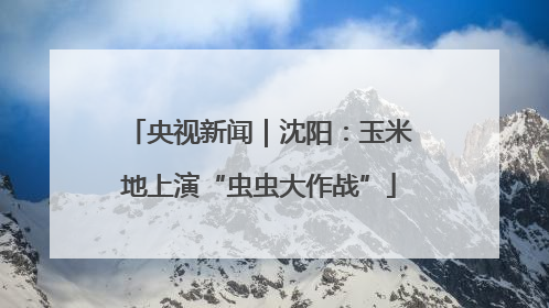 央视新闻｜沈阳：玉米地上演“虫虫大作战”