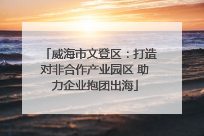 威海市文登区：打造对非合作产业园区 助力企业抱团出海