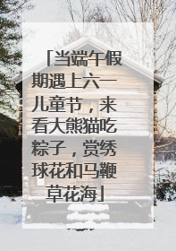 当端午假期遇上六一儿童节，来看大熊猫吃粽子，赏绣球花和马鞭草花海
