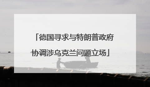 德国寻求与特朗普政府协调涉乌克兰问题立场