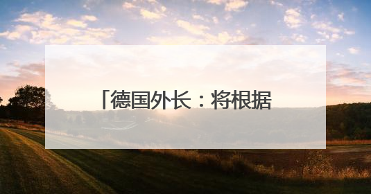德国外长：将根据加沙人道局势决定是否继续向以方供武