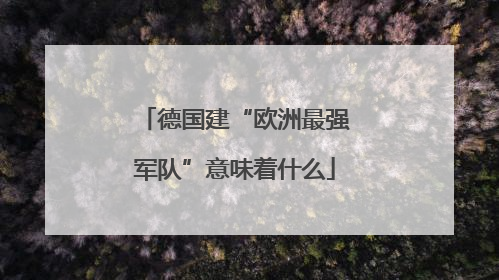 德国建“欧洲最强军队”意味着什么