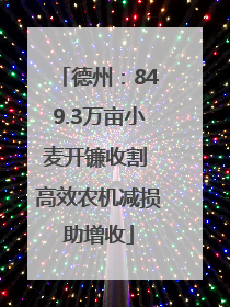 德州：849.3万亩小麦开镰收割 高效农机减损助增收