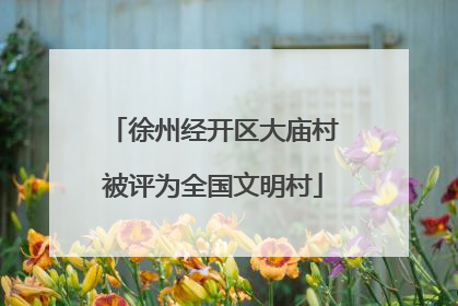 徐州经开区大庙村被评为全国文明村