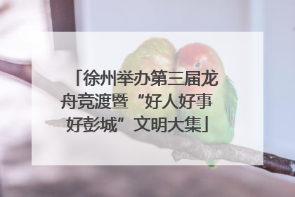 徐州举办第三届龙舟竞渡暨“好人好事好彭城”文明大集