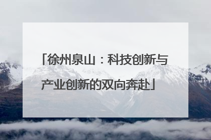 徐州泉山：科技创新与产业创新的双向奔赴