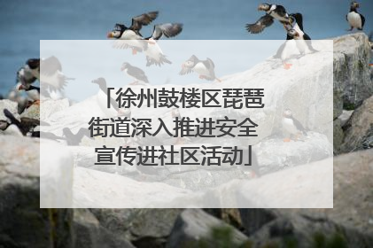 徐州鼓楼区琵琶街道深入推进安全宣传进社区活动