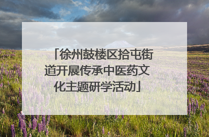 徐州鼓楼区拾屯街道开展传承中医药文化主题研学活动