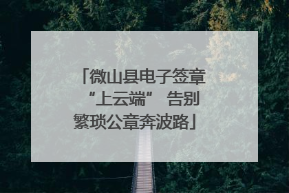 微山县电子签章“上云端” 告别繁琐公章奔波路