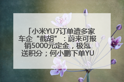 小米YU7订单遭多家车企“截胡”：蔚来可报销5000元定金，极氪送积分；何小鹏下单YU7，喊话雷军早点交付