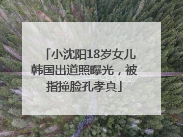 小沈阳18岁女儿韩国出道照曝光，被指撞脸孔孝真