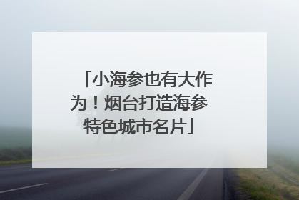小海参也有大作为！烟台打造海参特色城市名片