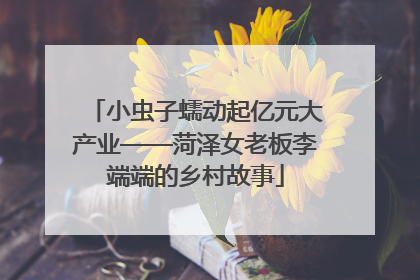 小虫子蠕动起亿元大产业——菏泽女老板李端端的乡村故事