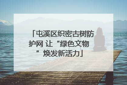 屯溪区织密古树防护网 让“绿色文物”焕发新活力